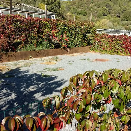 Çiftlik konaklama Le Collinette *