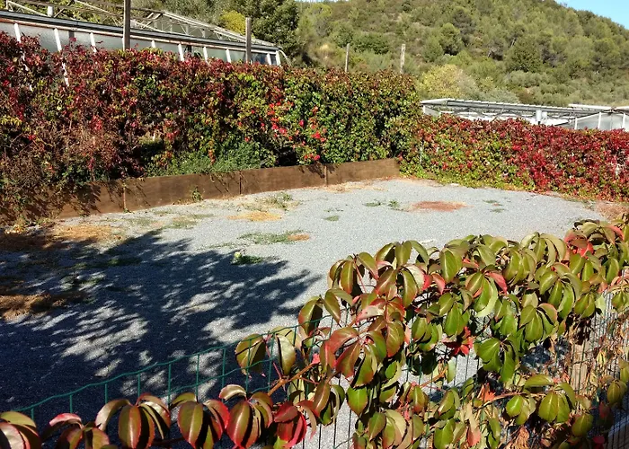 Alojamento de Turismo Rural Le Collinette *