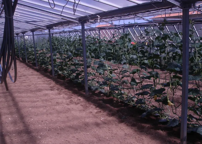 Alojamento de Turismo Rural Le Collinette